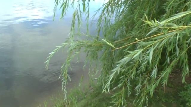 Матушка Русь смотреть онлайн