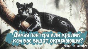 ВЫ ГЛАЗАМИ ОКРУЖАЮЩИХ 🔍