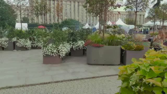 Сад-трансформер на Московской площади Петербурга  ...14.09.2025г.