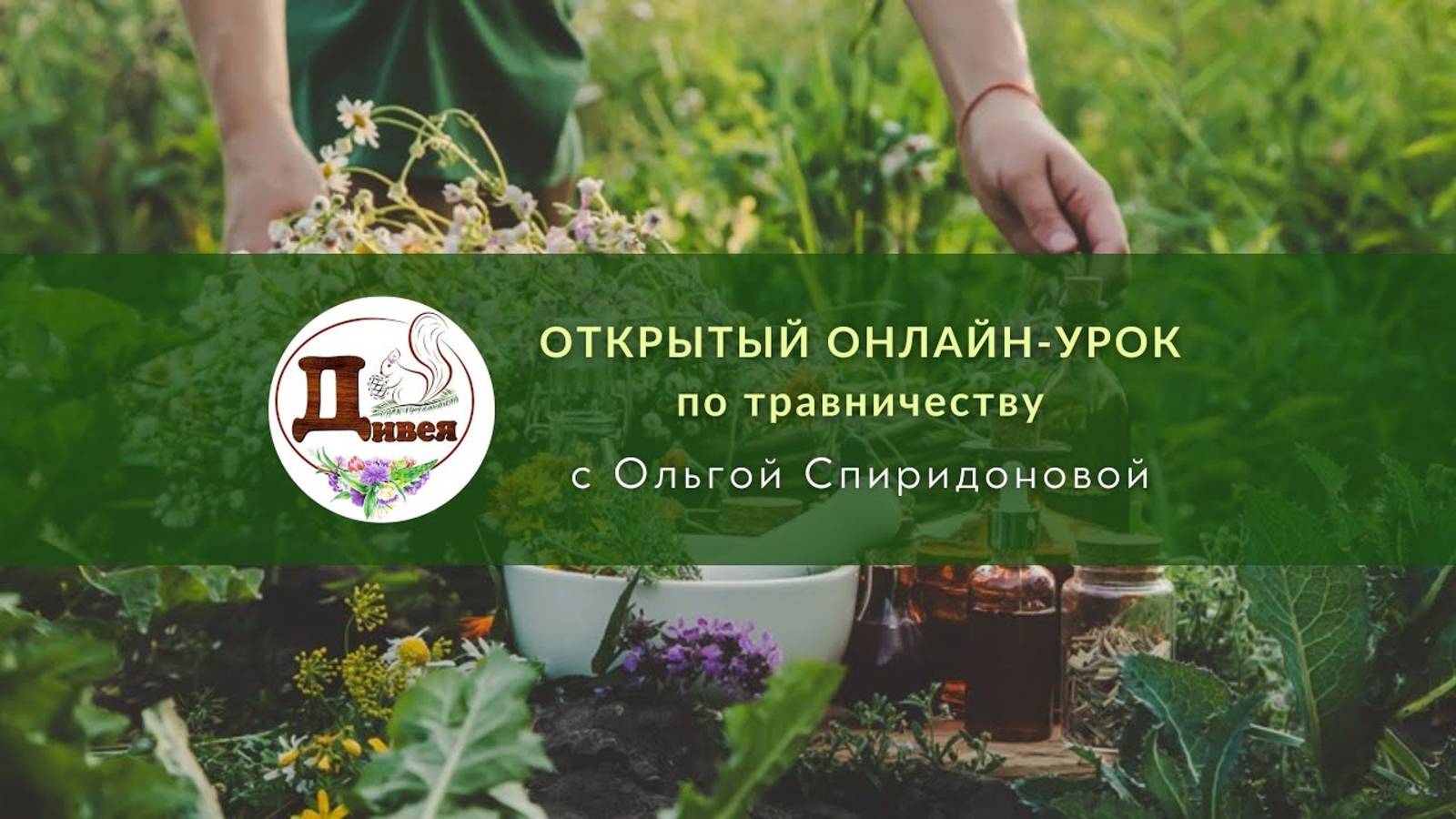 Открытый урок по травничеству (27.03.2025) смотреть онлайн