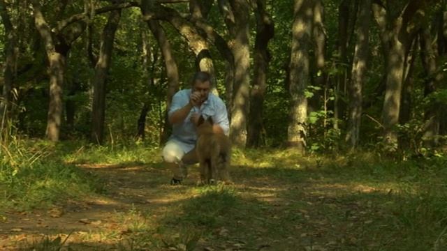 Уроки воспитания щенка. Дрессировка