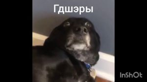 Гд сила