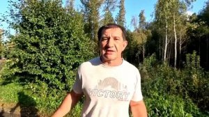 Драка потому что мы решили разгрузится от стресса на тебе. Почему я?