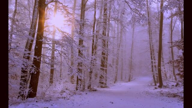 Тихая романтическая фортепианная музыка — бесплатная композиция о любви. Инструментальная музыка 💖 смотреть онлайн