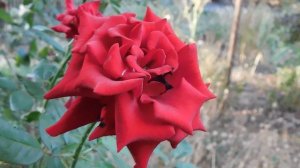 05=09=2025    Ю КМР  (2)