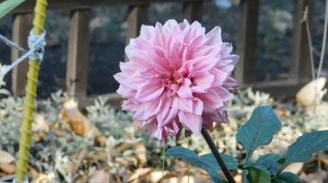 05=09=2025   Ю  КМР  (1)