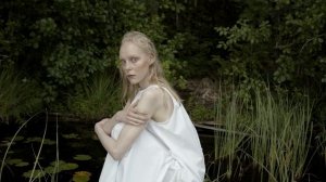 5638289-uhd_4096_2160_25fps