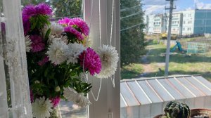 счастливый понедельник в деревне