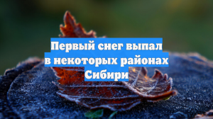 Первый снег выпал в некоторых районах Сибири