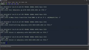 Nokia_SR_OS__3_Configuring_Dynamic_Routing_incl_Debug,_Policies