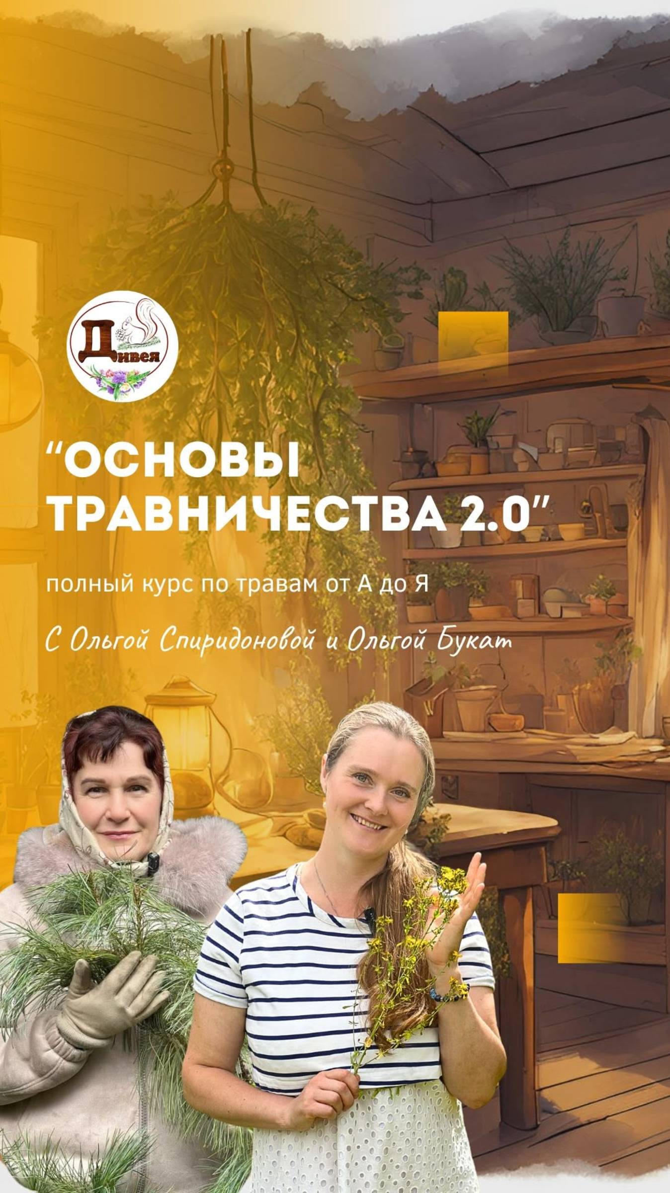 Где обучаться травничеству? смотреть онлайн