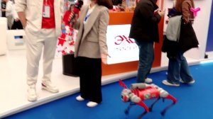 Робот-лосёнок на TNF-2025