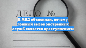 В МВД объяснили, почему ложный вызов экстренных служб является преступлением