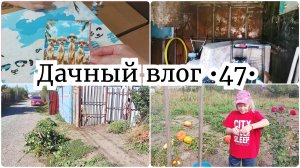 ПЛОДОТВОРНАЯ РАБОТА НА ДАЧЕ 🔥 С УТРА К СТОМАТОЛОГУ // УБОРКА В САДУ // СКОРО РЕМОНТ