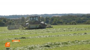 В поддержку животноводства