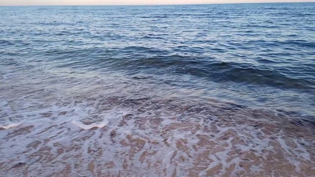 VID_20250915_181038.mp4