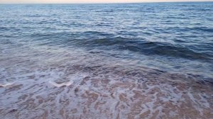 VID_20250915_181038.mp4