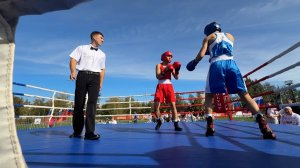 День бокса в День города