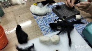 Мастер классы по воскресеньям. Валяние шерсти. Мастер Светлана Леонтьева.