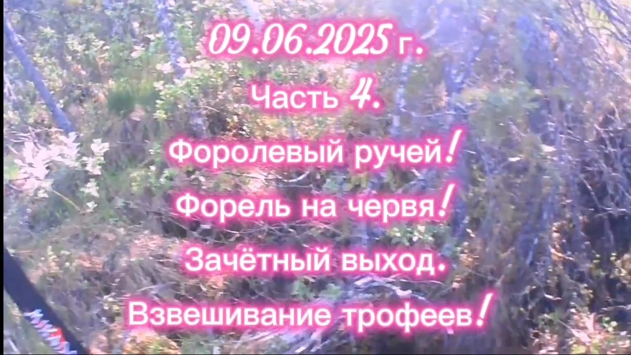 ФОРЕЛЬ. ФОРЕЛИВЫЙ РУЧЕЙ. 09.06.2025Г. ЧАСТЬ 4. #рыбалка #форель #ловляфорели #летняярыбалка #природа