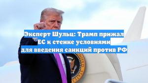 Эксперт Шульц: Трамп прижал ЕС к стенке условиями для введения санкций против РФ