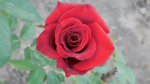 05=09=2025    Ю КМР  (20)