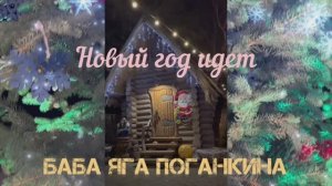 Баба Яга Поганкина на Новый год 2026