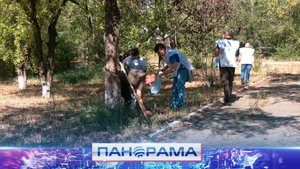 ⚡️ «Зеленая Россия»: как жители Донецка провели субботник?