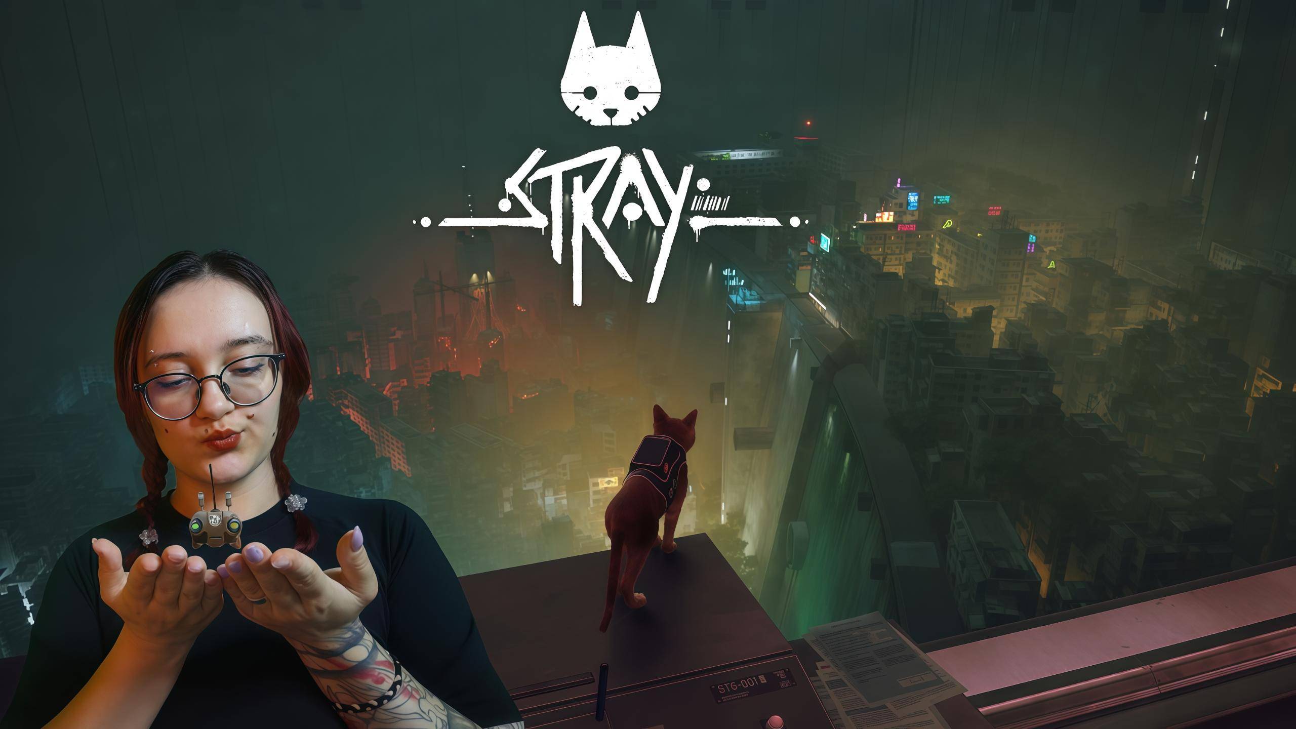 Город как на ладони ➤ Stray #6