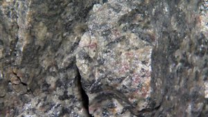 FT: цена германия выросла до рекордной за 14 лет из-за ограничений со стороны КНР