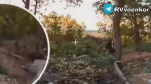 🇷🇺🔥🇺🇦Битва у Покровска: «🅾️тважные» днём и ночью жгут НАТОвскую технику, пехоту и позиции ВСУ