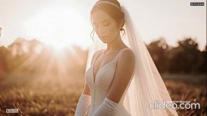 Тебя люблю /ремикс/