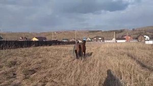 Дорога на занятия