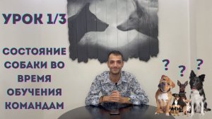 Введение в основы позитивной дрессировки, мини-урок первый (состояние собаки)