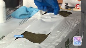 В Вологде подвели итоги всероссийского конкурса  овощеводов.