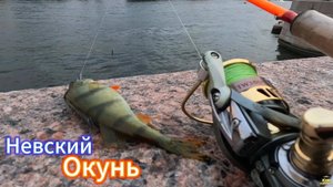 СЕНТЯБРЬ КЛЁВЫЕ РЫБНЫЕ ТОЧКИ ХИЩНИКА ИЩЕМ ОКУНЯ НАХОДИМ ЛОВИМ НА ОТВОДНОЙ НА ВИБРУ РЕКА НЕВА