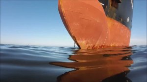 Водолазный осмотр судна