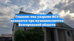 Гладков: под ударами ВСУ находятся три муниципалитета Белгородской области