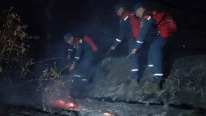 В Крыму произошел лесной пожар площадью 80 га