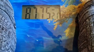 Впервые за 20 лет вешу менее 88кг! Крошу ветки! Уборка дачного участка.  №4.