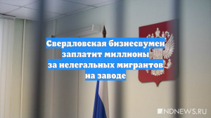 Свердловская бизнесвумен заплатит миллионы за нелегальных мигрантов на заводе