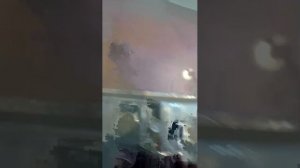 монеты, нумизматика