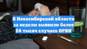 В Новосибирской области за неделю выявили более 24 тысяч случаев ОРВИ