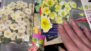 Еще осень, а я уже начала готовится к новому сезону.