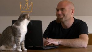 Котик, надо зарабатывать! Юмор.