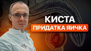 Киста придатка яичка. Проблемы с зачатием. Врач уролог-андролог. Москва.