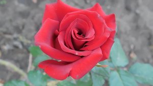 05=09=2025   Ю  КМР  (24)