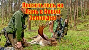 Поохотьтесь на невероятную Лань в Новой Зеландии