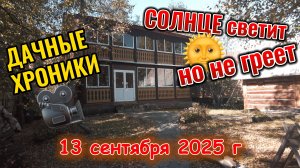 Дорога на дачу и дачные дела 13 сентября 2025 г