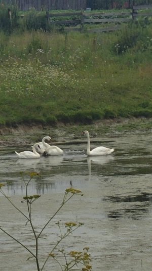 Край родной, навек любимый
